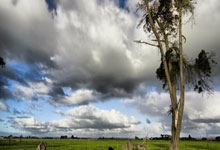 临沂二手车市场深度解析