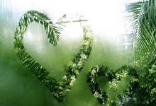 沂水二手车市场深度解析与购车指南