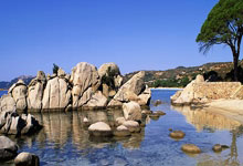 临沂二手车那些事儿 | 目录 | 正文 | 问答